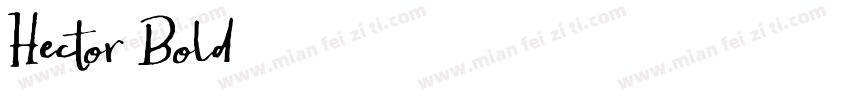 Hector Bold字体转换